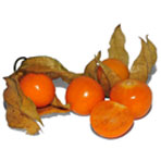 Physalis_fruit_2