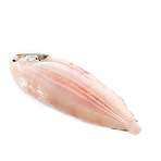 Dover Sole, Raw