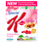 Kellogg's Special K Bliss Revive Creamy Berry Crunch 320g