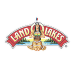 Land O'Lakes Cocoa Classics Raspberry & Chocolate Hot Cocoa Mix 35g