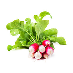 Radish Leaves, Raw
