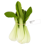product image - Tesco Pak Choi Bunch 250g