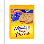 Nabisco Fruit Thins Blueberry Brown Sugar 10.5oz