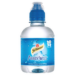 Schweppes Abbey Well Still Natural Mineral Water 250ml