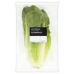 Sainsbury's Cos Lettuce