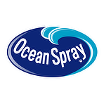 Ocean Spray Sparkling Pomegranate Blueberry 4can