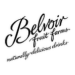 Belvoir Spiced Winter Berries 37.5Cl